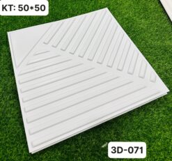 3D-071