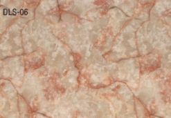 DLS-06