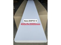 BHP10-0