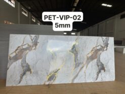 VIP-02