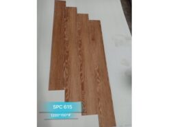 SPC 615