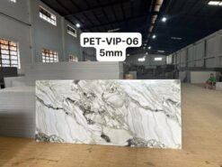 VIP-06