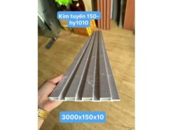 HY1010