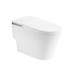 Bồn cầu thông minh Arrow AB1030-AM