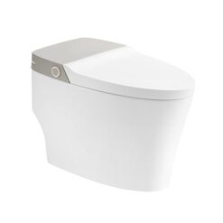 Bồn cầu thông minh Arrow AKB1102M