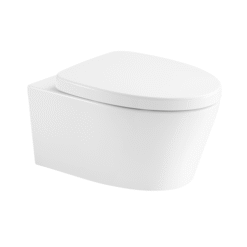Bồn cầu treo tường Arrow AHB21002H/PG015-ZPA