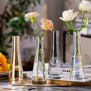 Dùng Bình Hoa Thủy Tinh Trong Suốt Trang Trí Bàn